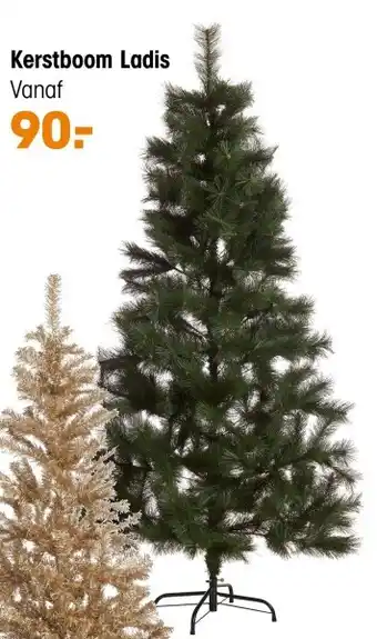 Kerstboom ladis