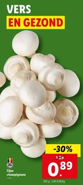 Fijne champignons