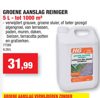 Groene Aanslag reiniger