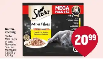 Delhaize Kattenvoeding aanbieding