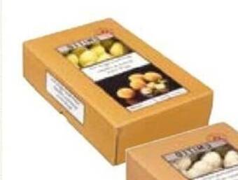 Horeca totaal OTTIMO apero balletjes Oud-Brugge 75 x 12gr aanbieding