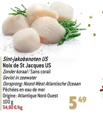 Match Sint-jakobsnoten us noix de st jacques us aanbieding