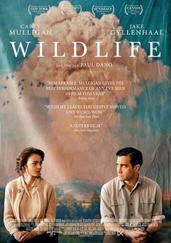 Bol.com Wildlife (dvd) aanbieding