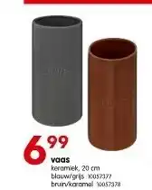 Vaas