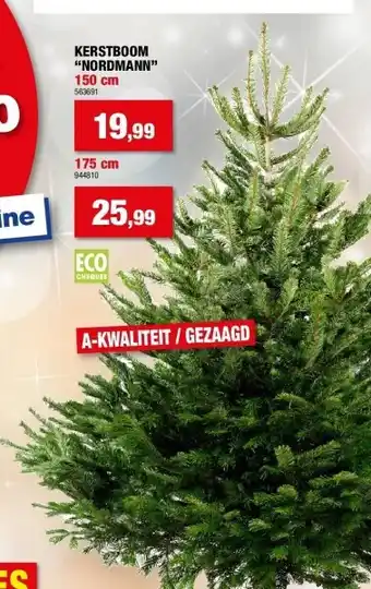 Kerstboom “nordmann” 150 cm