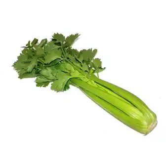 Groene selder | verpakt per stuk | cat1