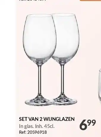 Set van 2 wijnglazen