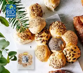 Bio Planet De Trog Margriet breekbrood 210g aanbieding