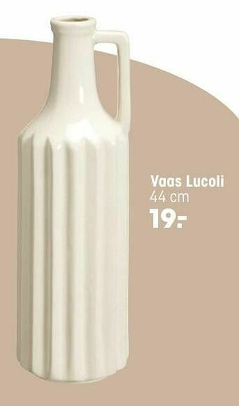 Kwantum Vaas lucoli aanbieding