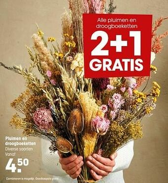 Pluimen en droogboeketten