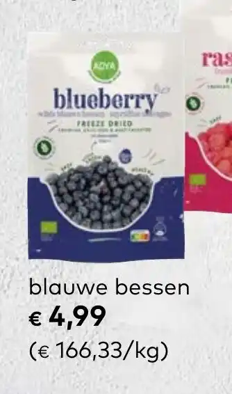Bio Planet Adya blauwe bessen 30g aanbieding