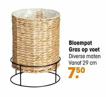Kwantum Bloempot gras op voet aanbieding