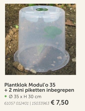 AVEVE Plantklok Modul'o 35 + 2 mini piketten inbergrepen aanbieding