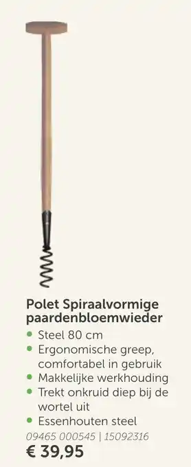 Polet Spiraalvormige paardenbloemwieder