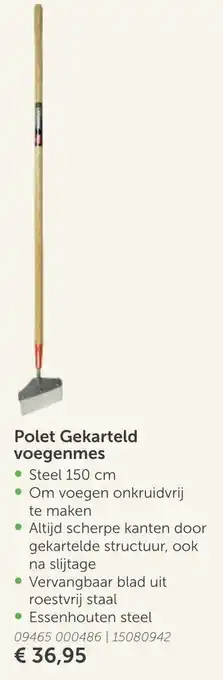 AVEVE Polet Gekarteld voegenmes aanbieding