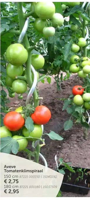 AVEVE Aveve Tomatenklimspiraal 150cm aanbieding