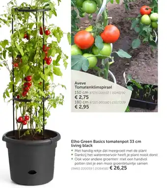 AVEVE Elho Green basics tomatenpot 33cm living black aanbieding