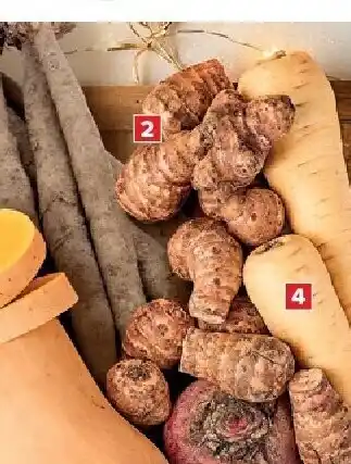 Aardperen