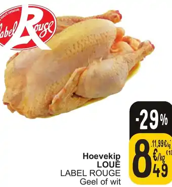 Hoevekip LOUE