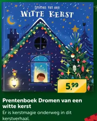 Prentenboek Dromen van een witte kerst