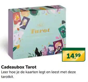 Boekenvoordeel Cadeaubox Tarot aanbieding