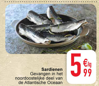 Cora Sardienen aanbieding