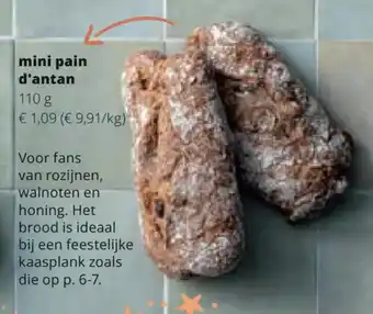 Spar Colruyt mini pain d'antan 110g aanbieding