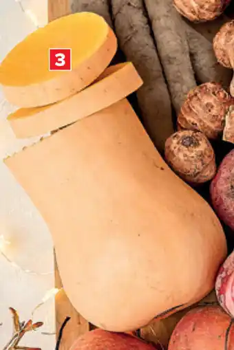 Butternut