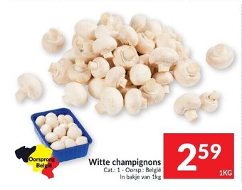 Intermarché Witte champignons aanbieding