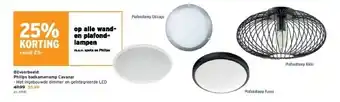 GAMMA Philips badkamerlamp cavanal aanbieding