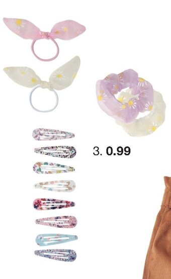 Zeeman haaraccessoires aanbieding