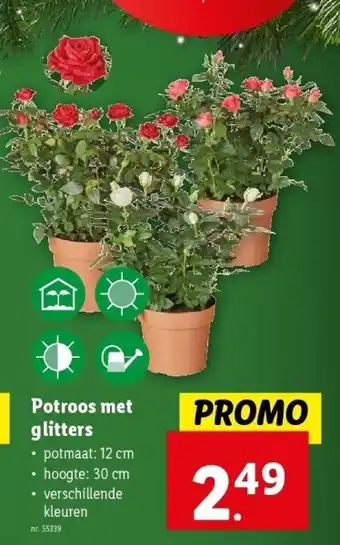 Lidl Potroos met glitters aanbieding