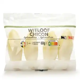 Delhaize Witloof | hydro aanbieding