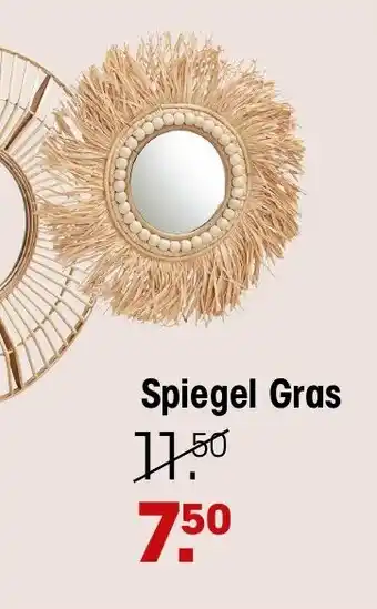 Kwantum Spiegel Gras aanbieding