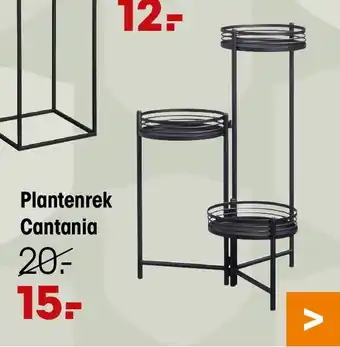Kwantum Plantenrek Cantania aanbieding