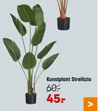 Kwantum Kunstplant Strelitzia aanbieding