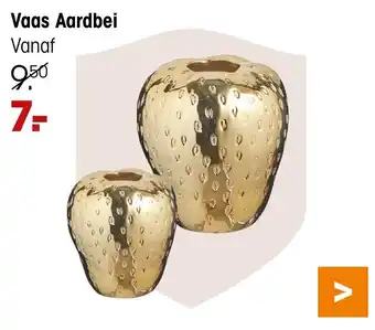 Kwantum Vaas Aardbei aanbieding