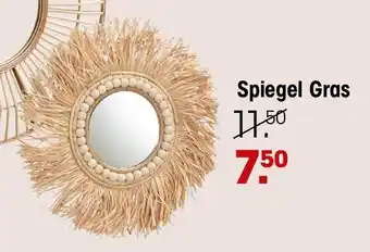 Kwantum Spiegel Gras aanbieding