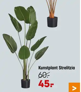 Kwantum Kunstplant Strelitzia aanbieding