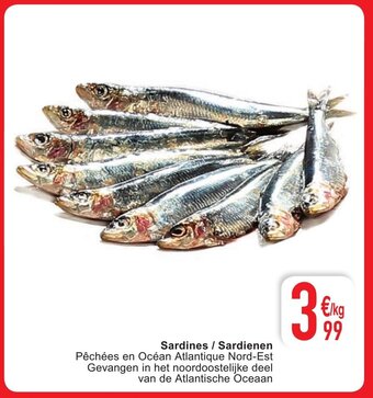 Cora Sardines sardienen aanbieding