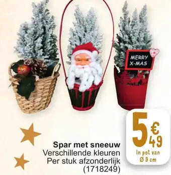 Spar met sneeuw