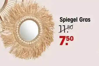 Kwantum Spiegel gras aanbieding