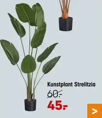Kwantum Kunstplant strelitzia aanbieding