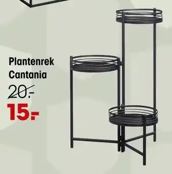 Plantenrek cantania