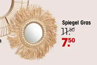 Kwantum Spiegel Gras aanbieding