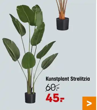 Kwantum Kunstplant Strelitzia aanbieding