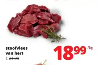 stoofvlees van hert