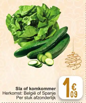 Cora Sla of komkommer aanbieding