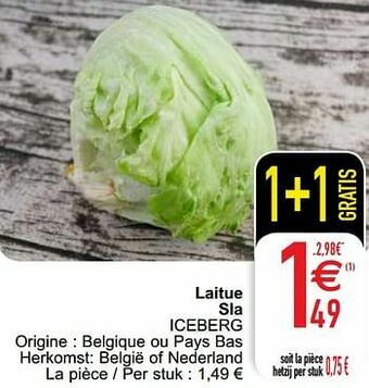 Cora Laitue sla iceberg aanbieding