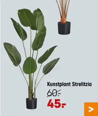 Kunstplant Strelitzia